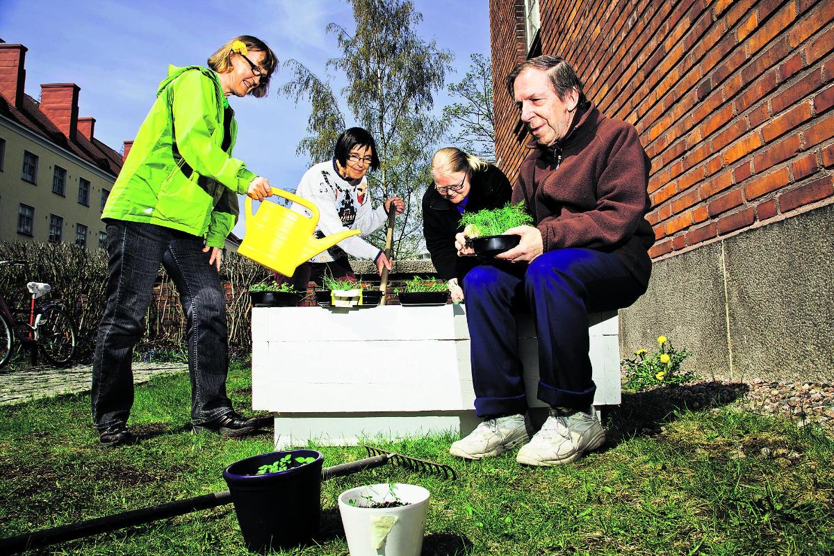 Hyvää työtä. Vapaaehtoistyöntekijät huolehtivat muun muassa Paavalinkirkolle kylvetyistä kesäkukista. Anita Eerola (vas.), Saara Valaranta, Sirpa Lajunen ja Antero Kovalainen saattavat kastella kasveja kesähelteillä useamman kerran viikossa.