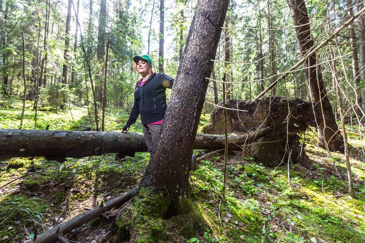 Sonja Lahtinen aloittaa kaupungin palkkaamana lähimetsäoppaana heinäkuun alussa.