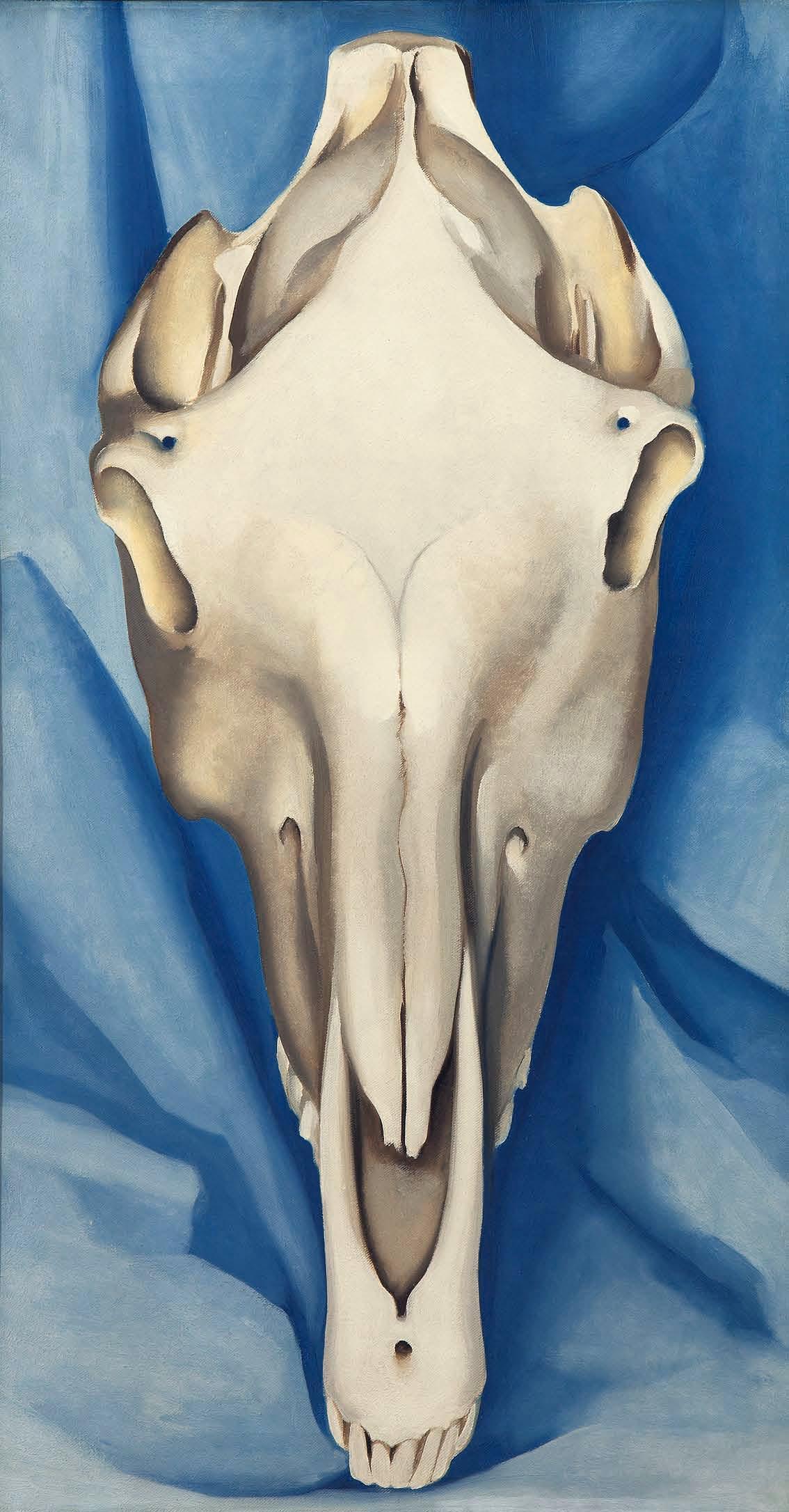 Georgia O’Keeffe: Hevosen kallo sinisellä taustalla, 1931.