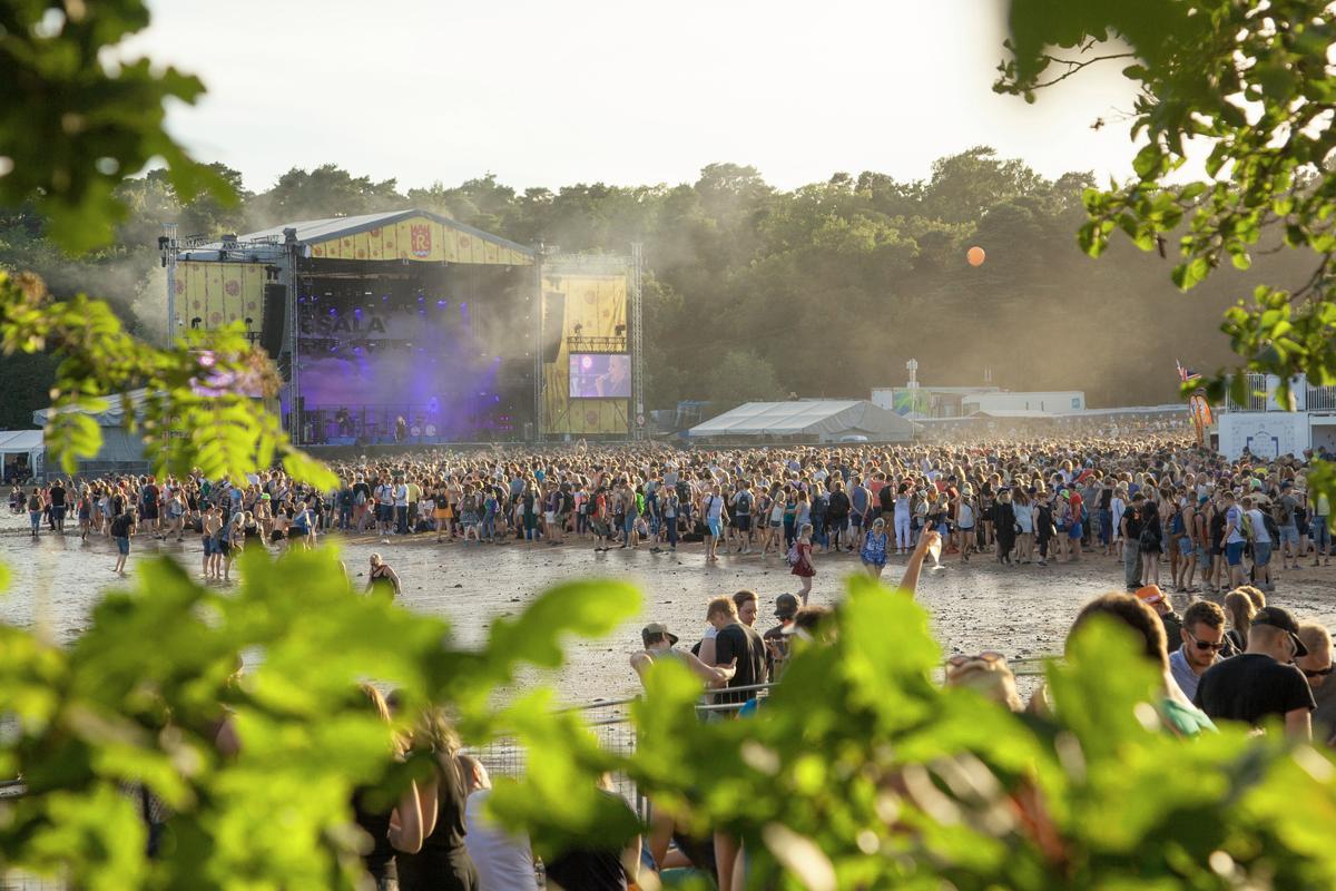 Ruisrock on myytyjen lippujen perusteella suurin festivaali. Kokonaiskäyntimäärän perusteella Pori Jazz on suurin ja Helsingin Juhlaviikot sijoittuu kolmanneksi Kotkan meripäivien jälkeen.