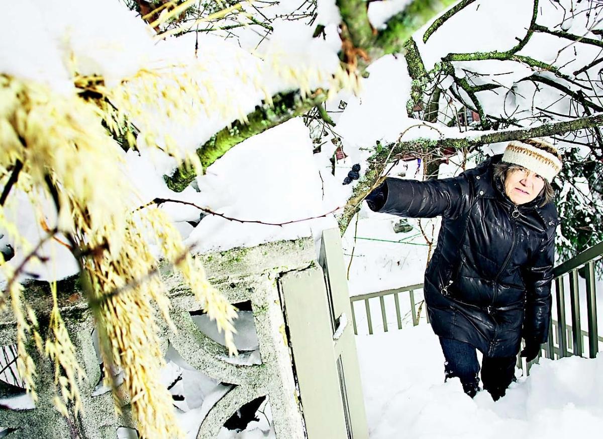 — Olen taistelijaluonne — lumessakin, sanoo Elina Miettinen.