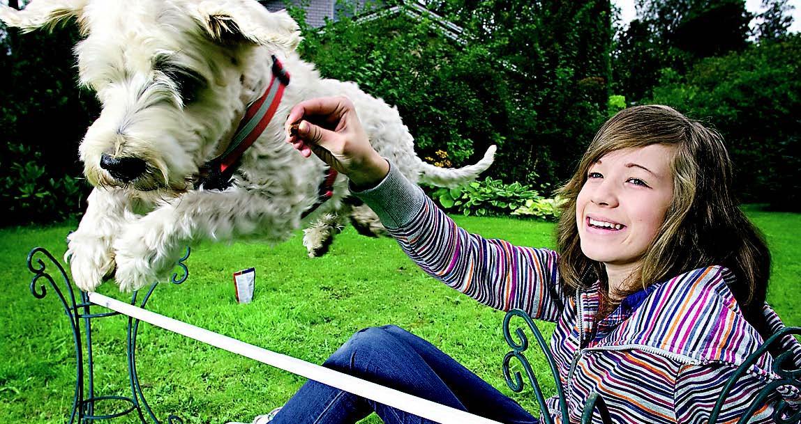 Theresa Natri, 13, ulkoiluttaa Veeti-koiraa päivittäin.