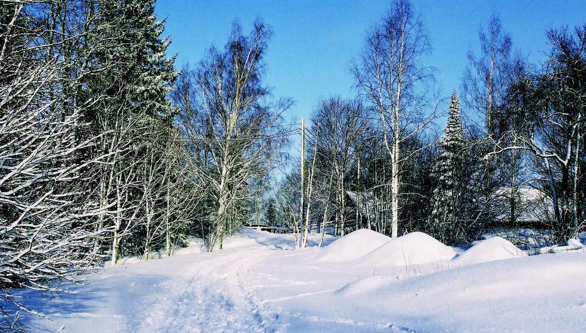 Suomi on kaunis, mutta ympäristön muutokset ja vastuu muista eivät pysähdy valtion rajalle, muistuttaa Jukka Nevala kirjassaan. 