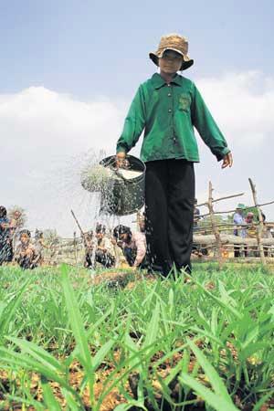 Kambodzhalainen Bo Ry saa kasteluveden vihanneksilleen Kirkon Ulkomaanavun tukeman kyläkehityshankkeen rakentamasta kaivosta. Kuva: Leif Gustavsson / Kirkon Ulkomaanapu